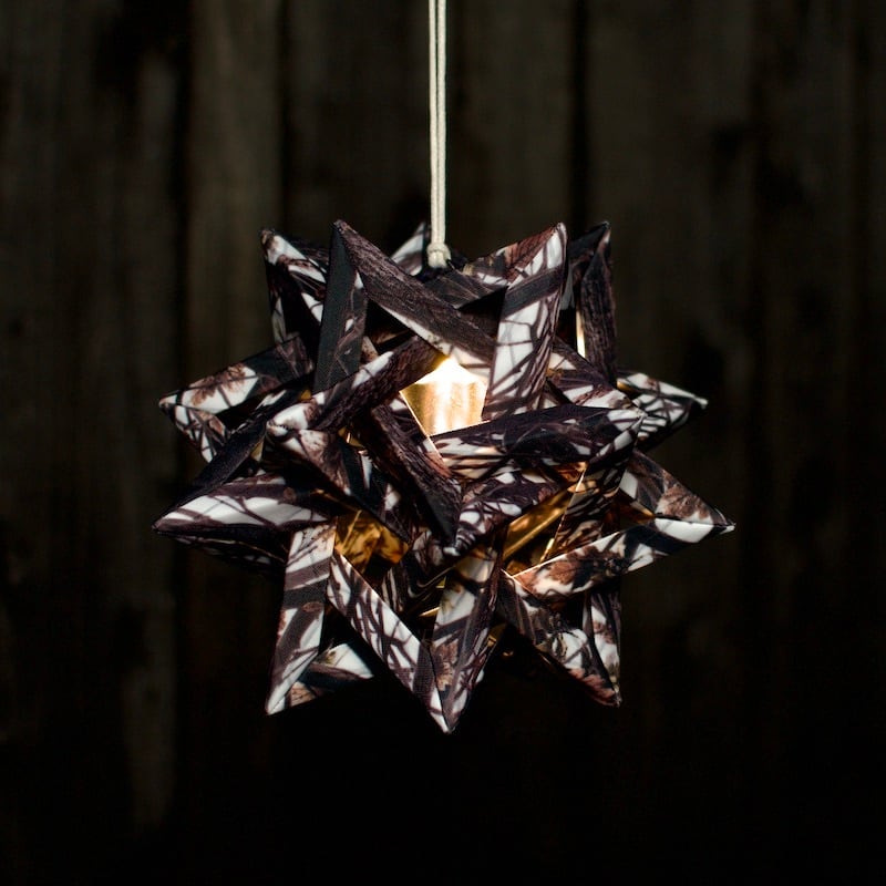 CONPE10 Real tree柄 | COLONISTA