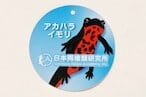 アカハライモリ特大(115cm)ぬいぐるみ（ギフトラッピング可能・別料金