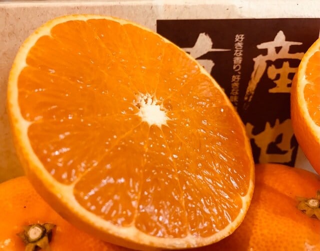 せとか1級品3Kg（10個〜15個） | みかんの島ー田村農園 (えひめ