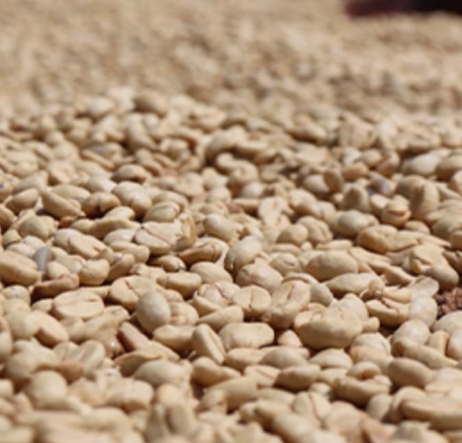 ケニア シンバ AB TOP(200g ) | takacoffeest