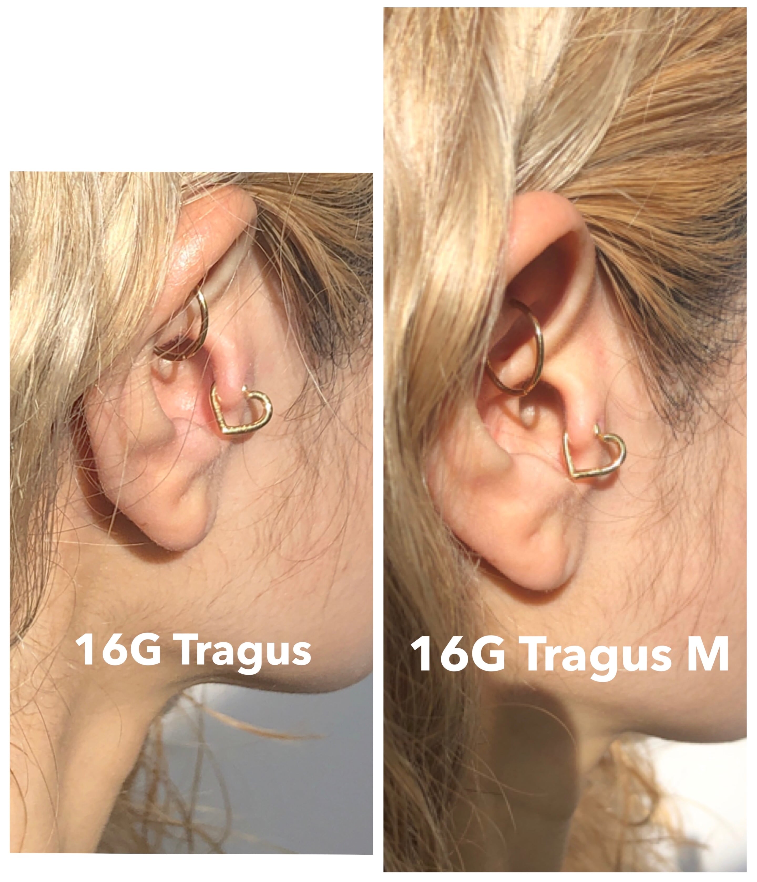 HEART Tragus body jewelry M 16G/K18YG, K18PG, Pt #LJ18033P ハート