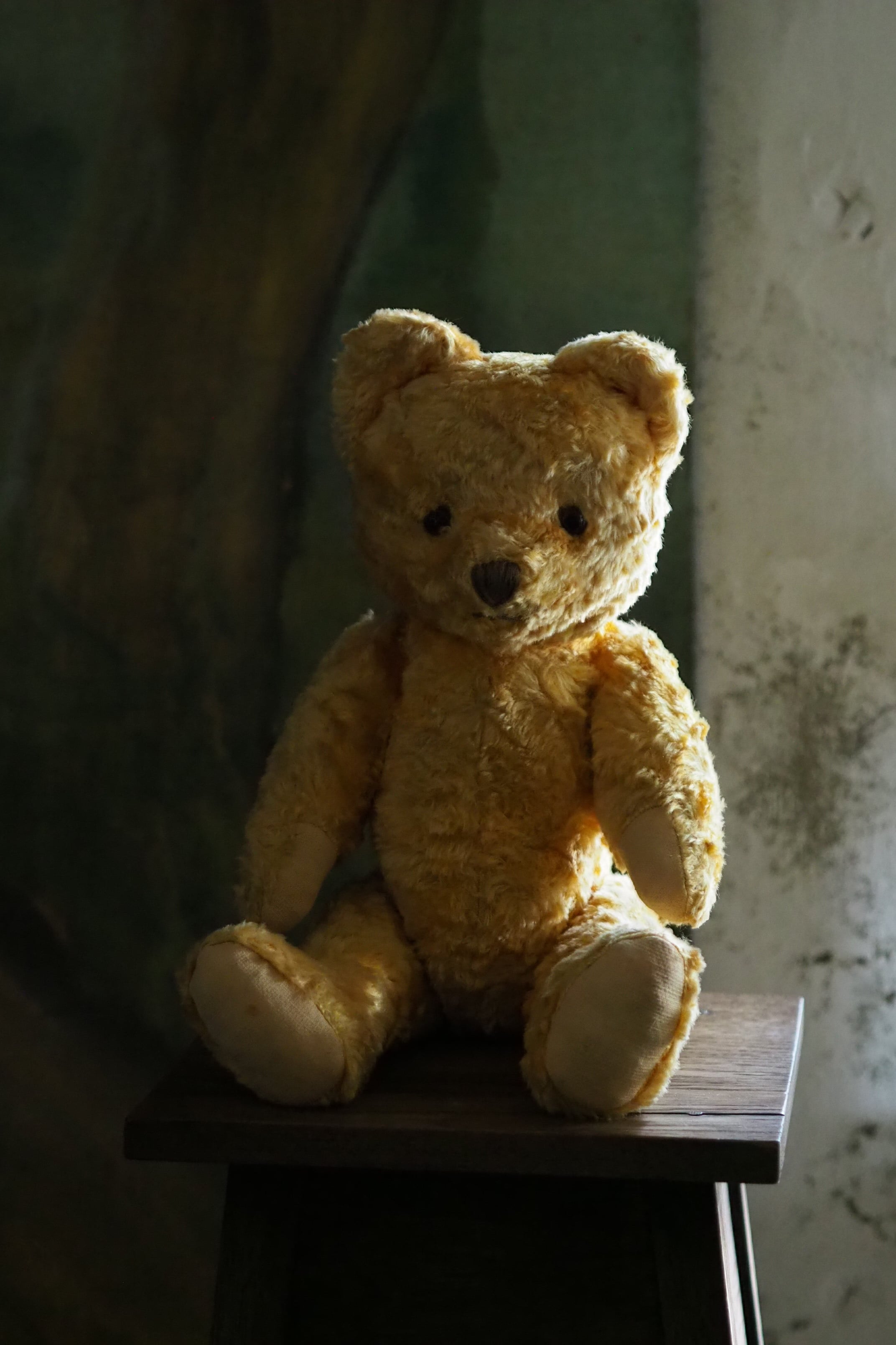 優しい色のテディベア-vintage teddy bear | アンティーク