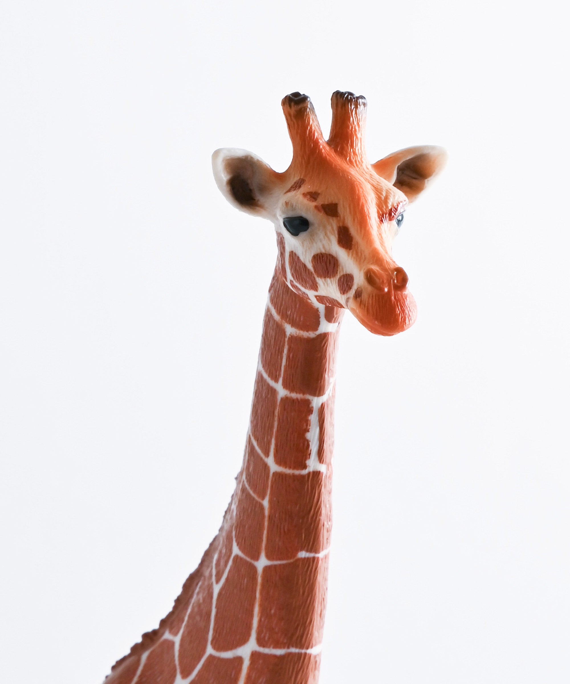 Schleich/シュライヒ】動物フィギュア キリン メス – BASIC AND ACCENT