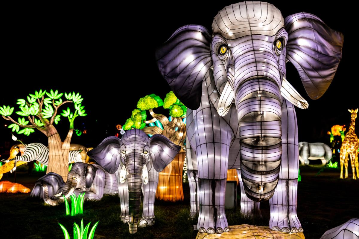 Omaha Henry Doorly Zoo and Aquarium: The Zoo's Exciting News