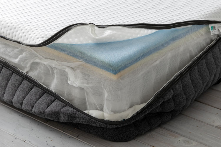 徹底解説】エマ・プレミアム V2（プラスも対応）の体験・検証レビュー