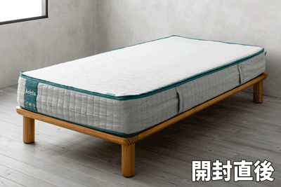 徹底解説】コアラマットレスプラス PLUSの体験・検証レビュー | 椚大輔