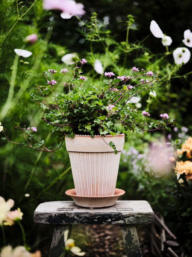Simona Plant Pot – Parisian Charm in Clay | Bergs Potter