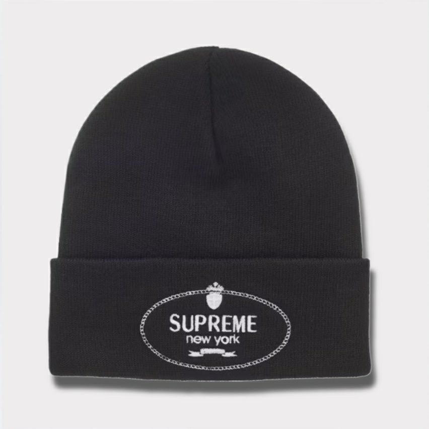 Supreme シュプリーム 2022AW New Era Box Logo Beanie ニューエラ