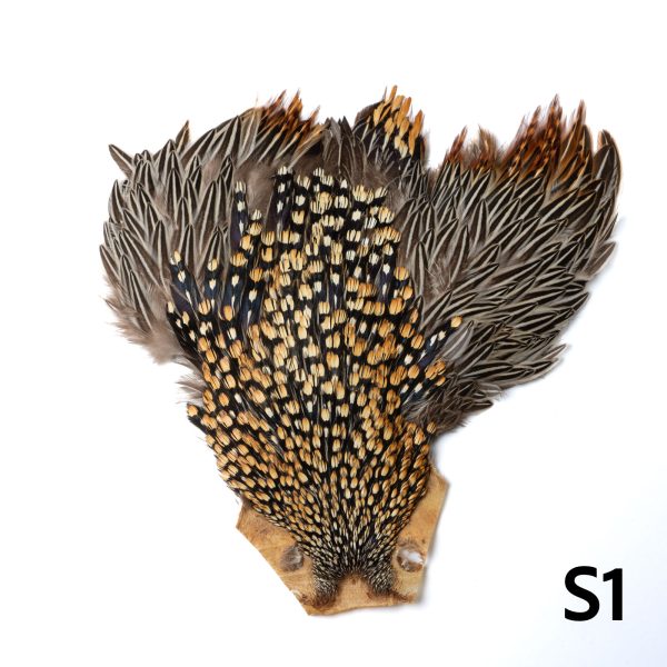 フェザーアンドフライ | Feather & Fly – ハックルケープ：ジャングル