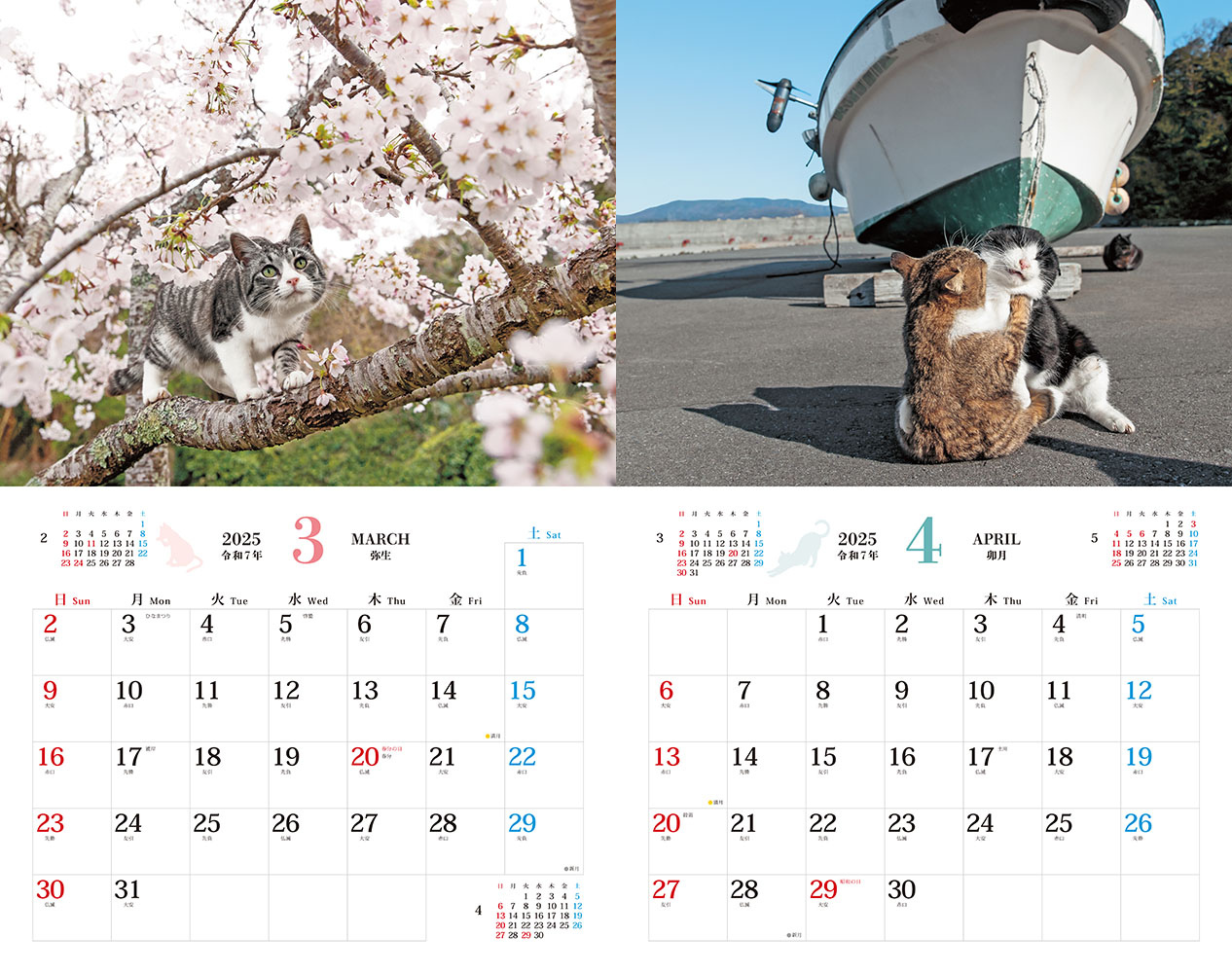 そとねこ - インプレスブックス