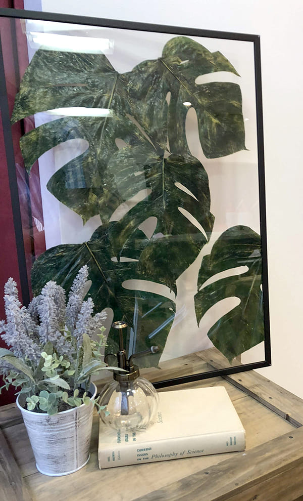 作品紹介 蓮の葉 インド菩提樹 アクリルフレーム｜ボタニーペイン