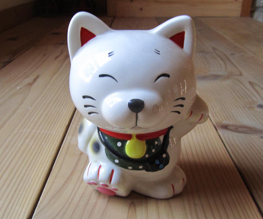 八郷の日々: ニャン太