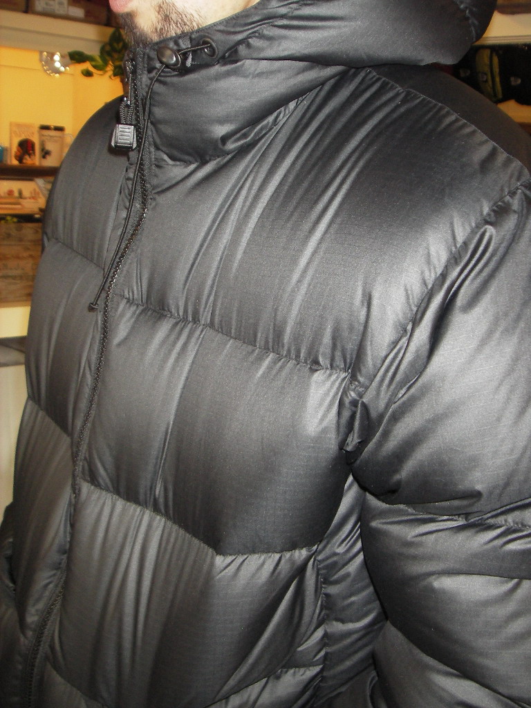 フェザー・フレンズFeathered Friendsフーデッド・ヘリオス