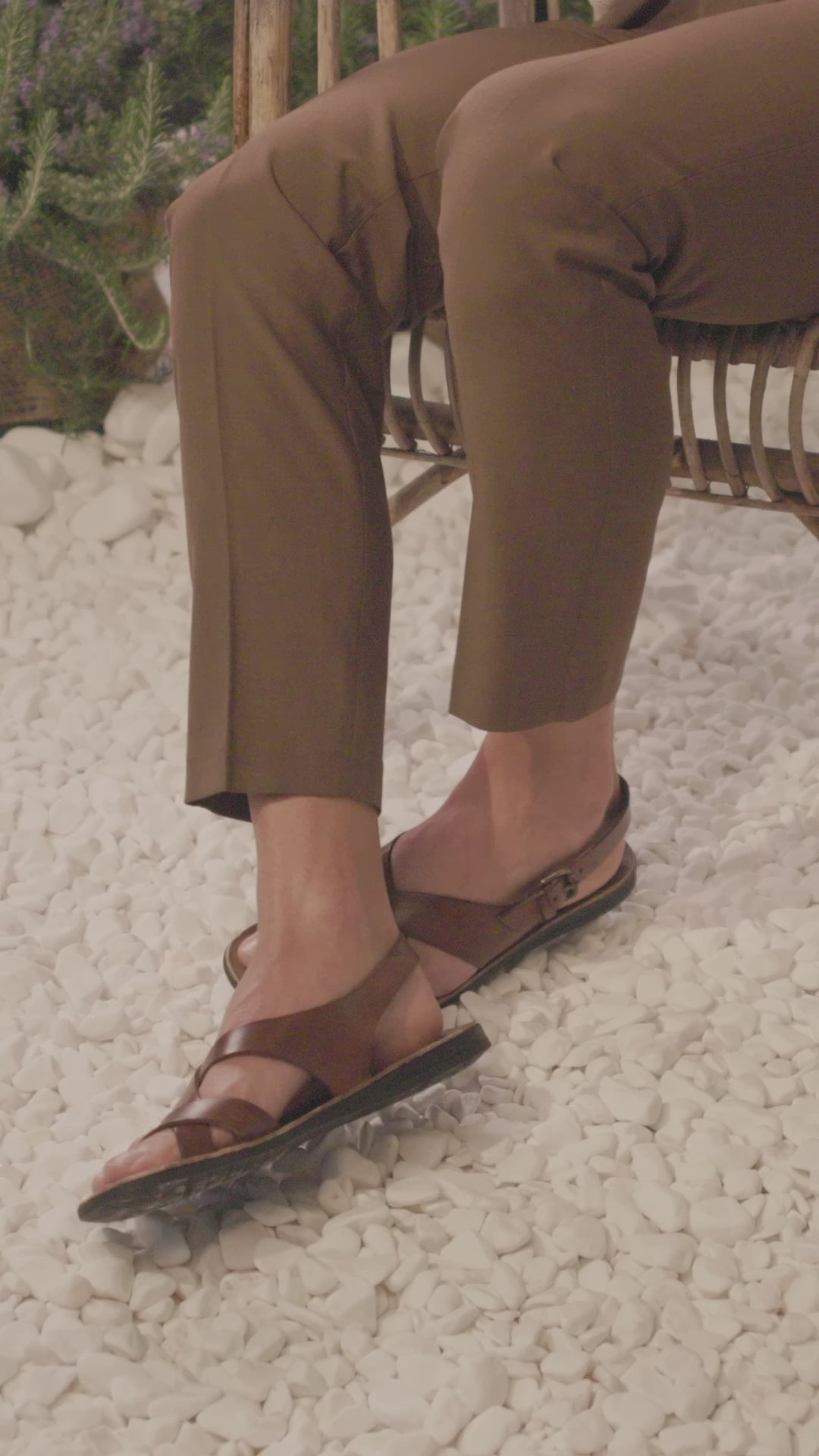 46-846 MOGANO – BRADOR JAPAN