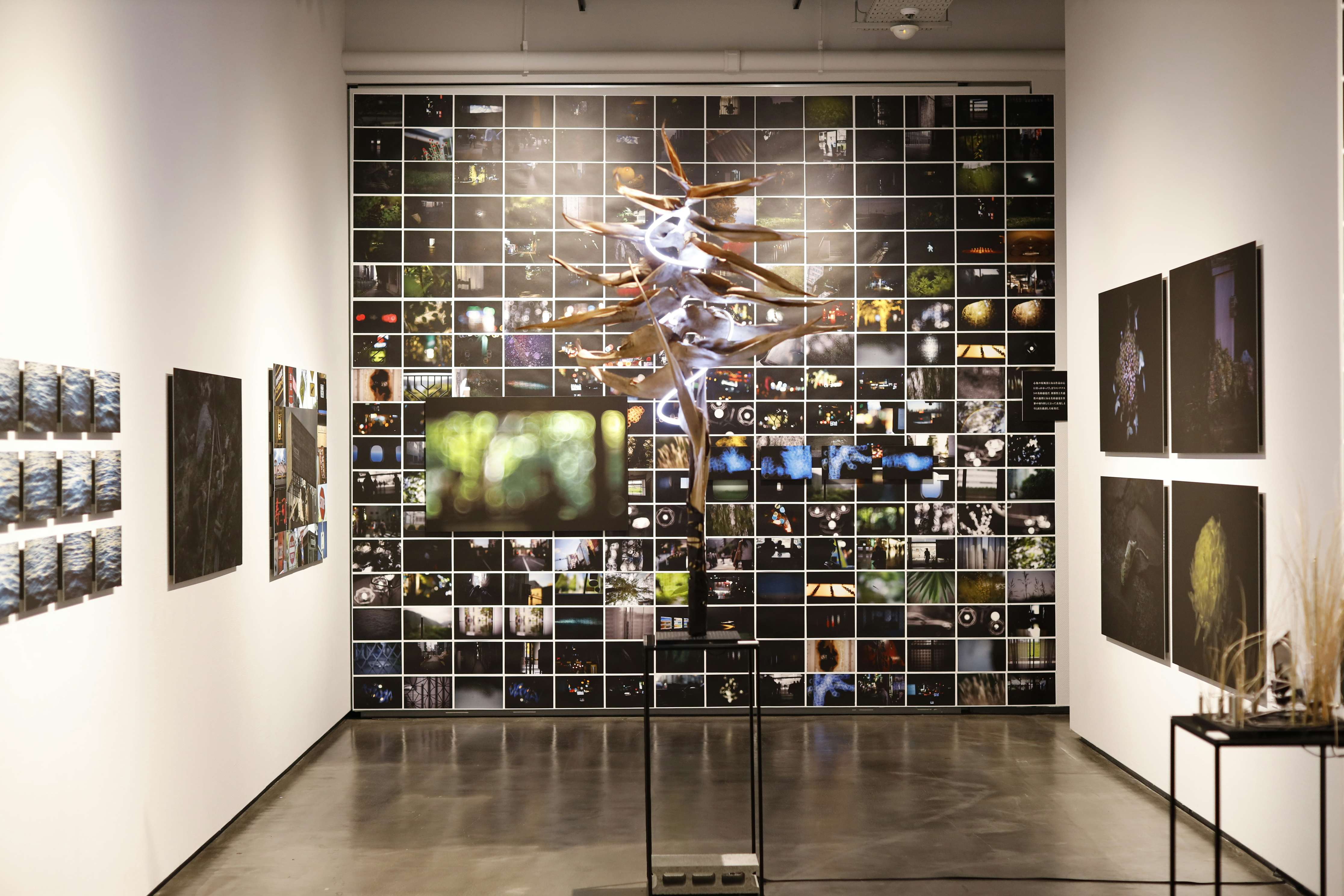 写真家としての落合陽一が見せる質量と物質感。「質量への憧憬」展が