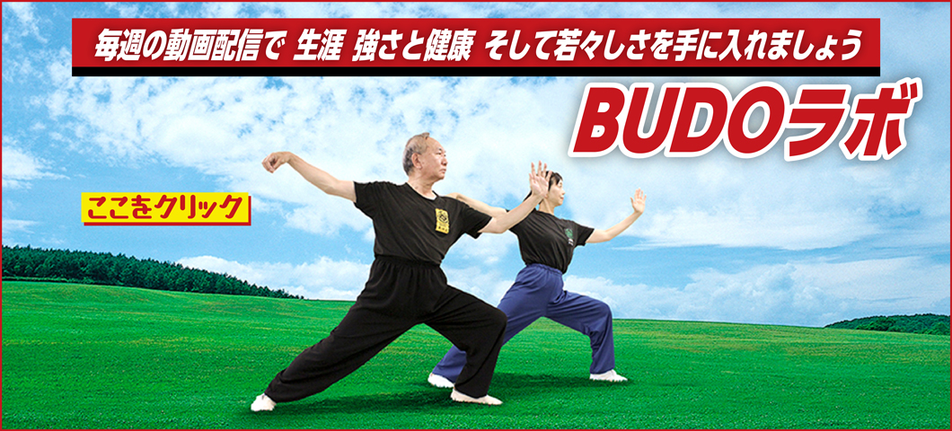 太極拳の秘伝の練功 | BUDO-STATION