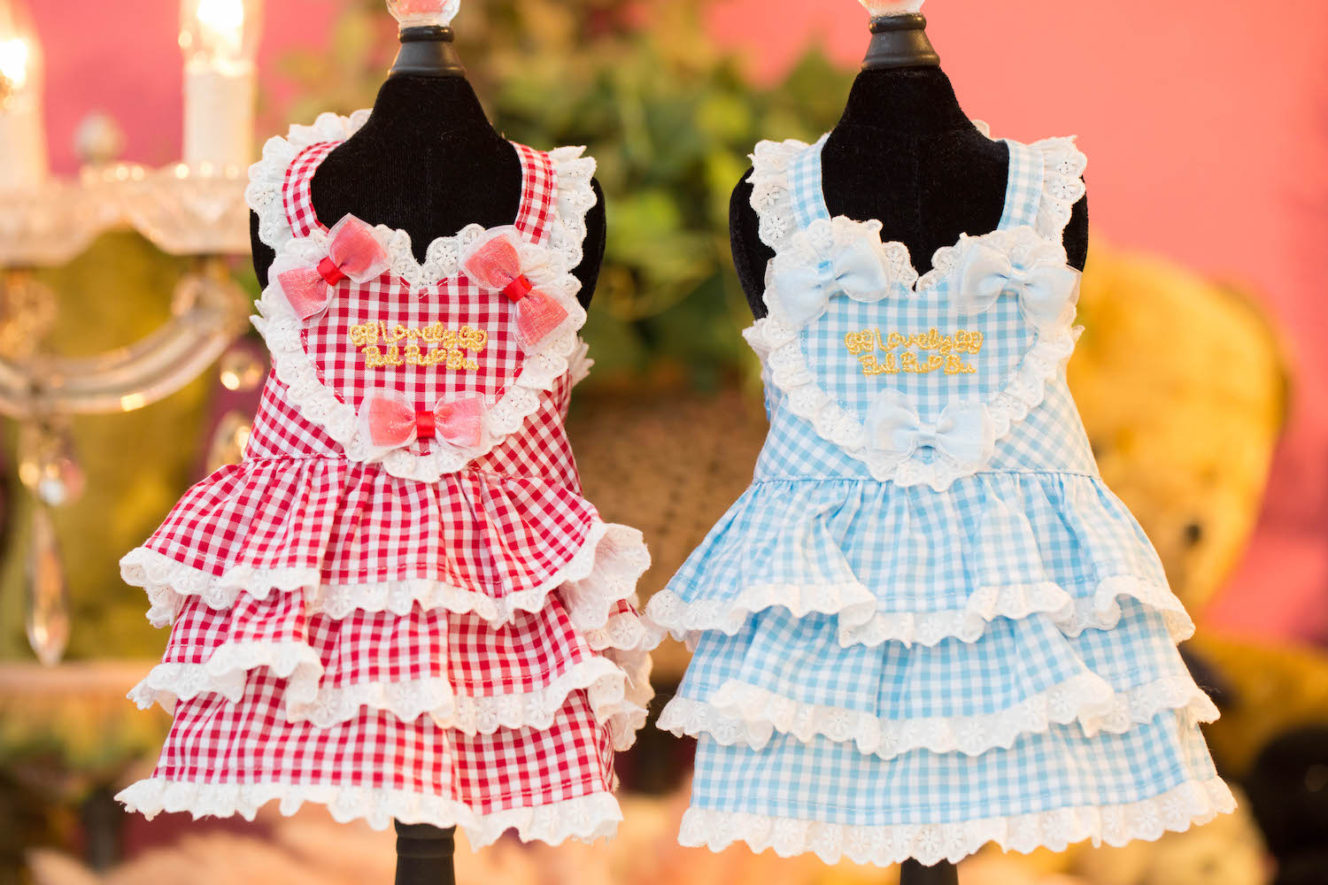 SALE《70%OFF》｜ドッグブティック・ブルブブ