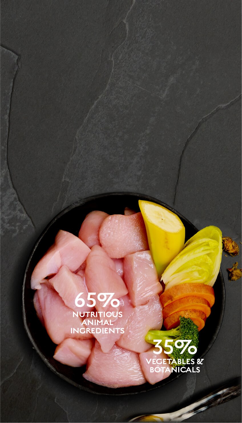 Free-Run Chicken Wet Dog Food