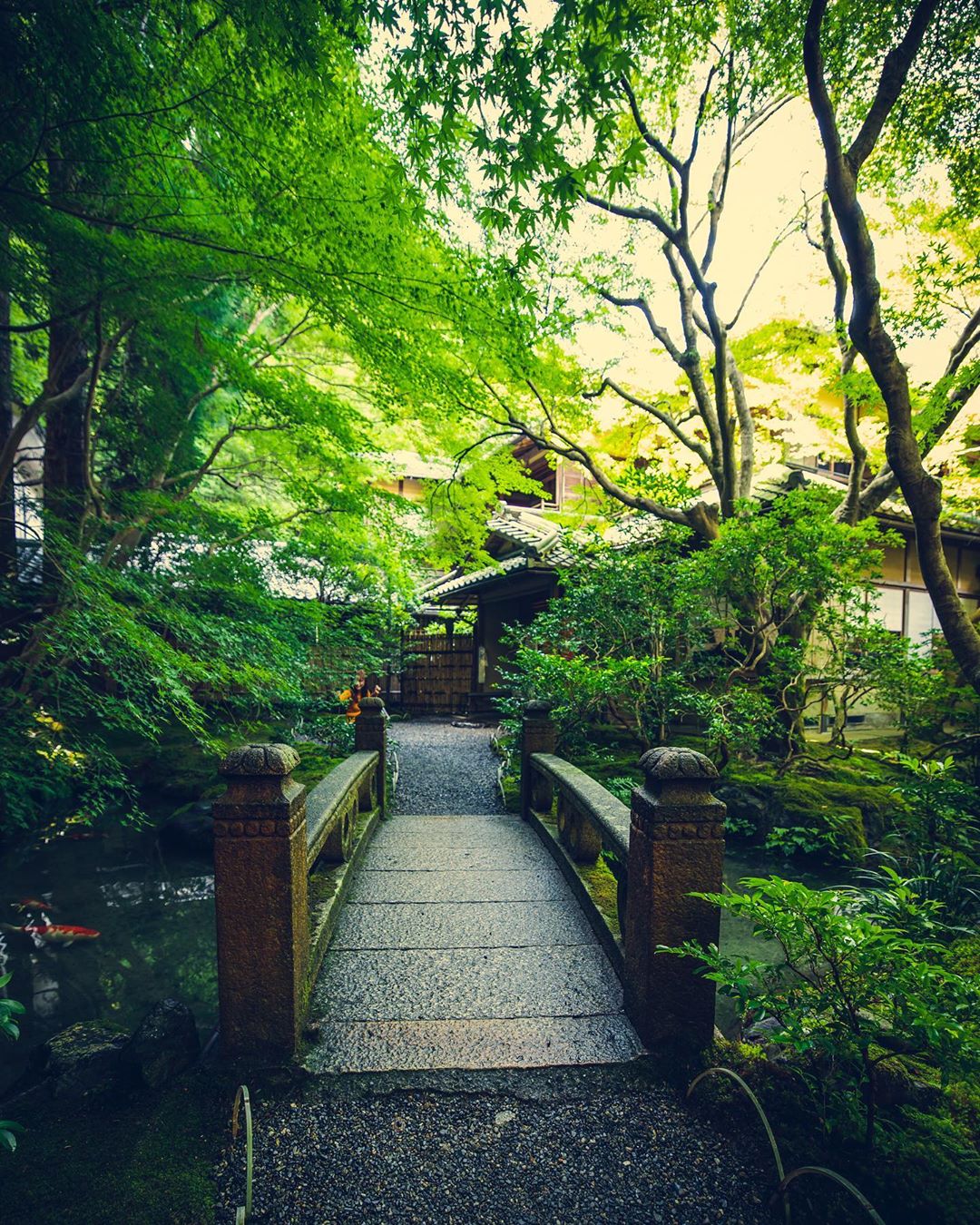 京都紅葉スポットの新定番！瑠璃光院に行ってみましょう|caedeKyoto