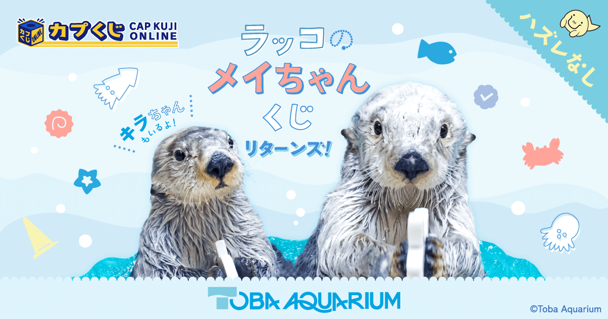 カプくじ×鳥羽水族館 ラッコのメイちゃんくじ リターンズ！ | カプくじ