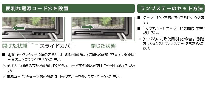 グラステラリウム ナノキューブ 〔ｴｷｿﾞﾃﾗ〕 | 爬虫類倶楽部