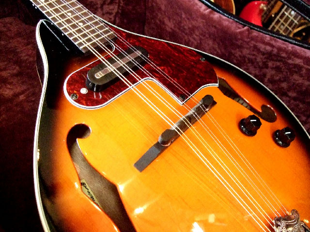 Aria AM-20E ElectricMandolin ハードケース付き 【マイク搭載!!アンプ