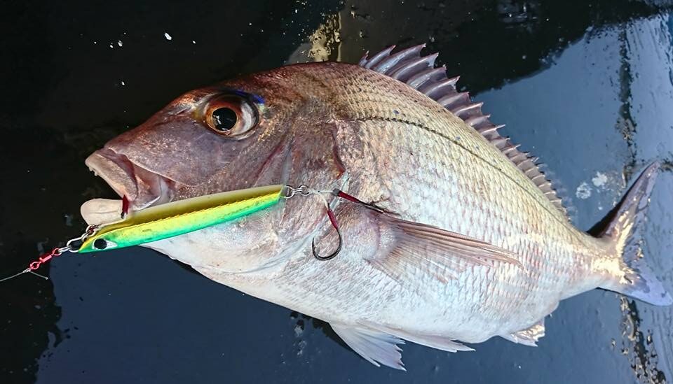 ルアー・フライ CB ONE,QUICK ZERO1 CB ONE QUICK ZERO 1 Saltwater