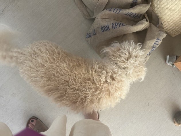 Mt. Washington potteryの魅力｜BEAMS Planets（ビームス プラネッツ