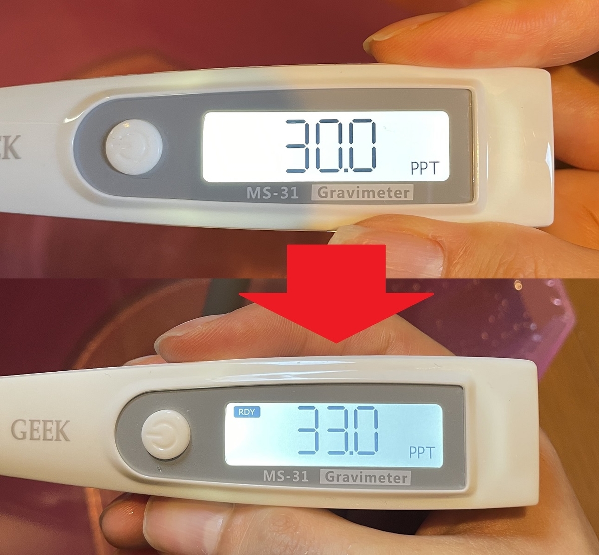 デジタル比重・塩分濃度計 MS-31」の使用感 - 淡水海水30cm生活