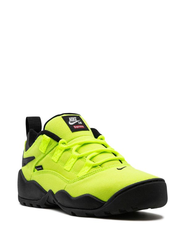 Nike x Supreme SB Darwin Low 