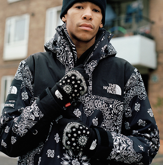 Supreme The North Face Bandana Mountain Jacket バンダナ 黒