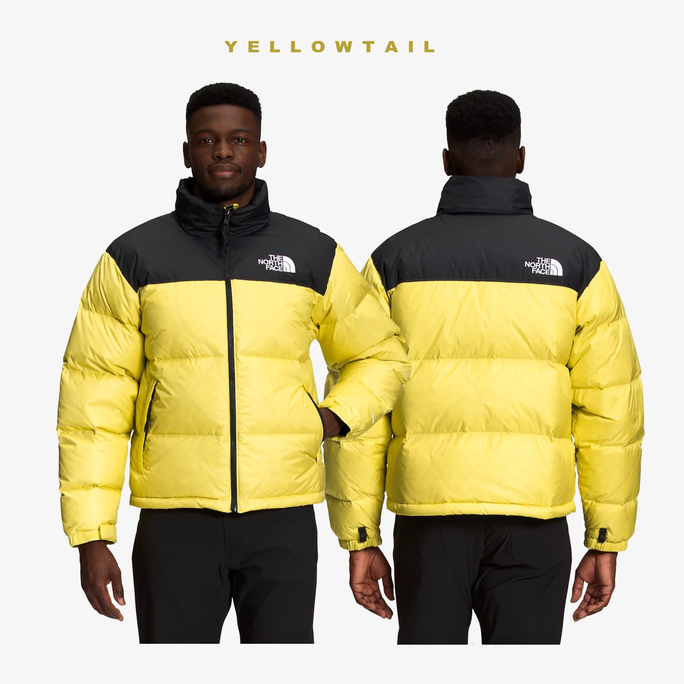 The North Face】2022年 ヌプシ ダウンジャケット 700フィル (THE