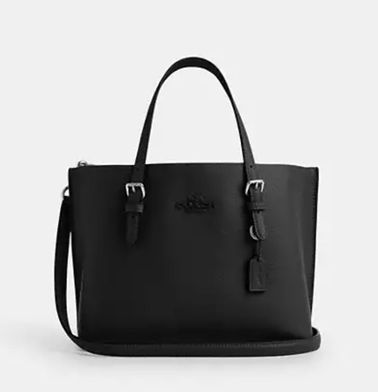 人気! Coach(コーチ) レザー シンプル 2way ショルダーバッグ (Coach