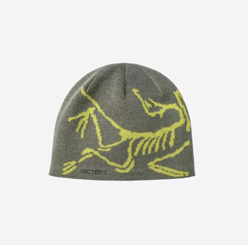 人気 ☆ARC'TERYX☆ BIRD HEAD TOQUE ORCA (ARC'TERYX/ニットキャップ