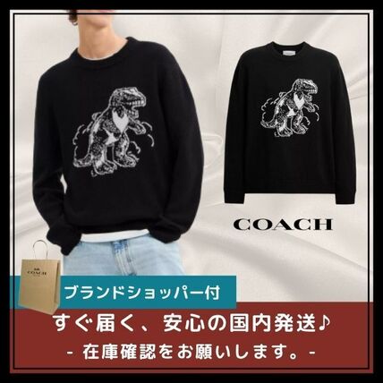 アウトレット L Coach(コーチ) ニット・セーター(メンズ) - 海外通販の
