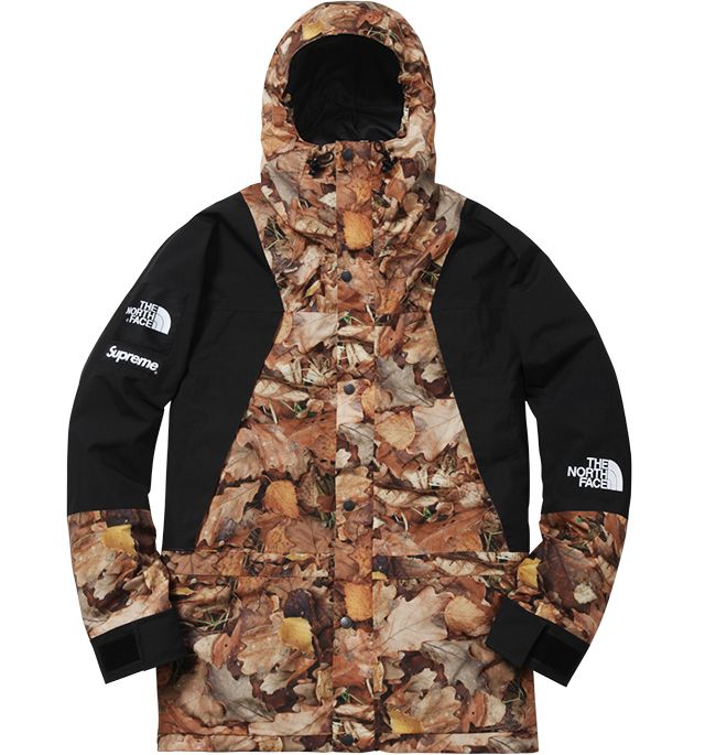 コラボ☆Supreme x The North Face Mountain Light Jacket 16AW