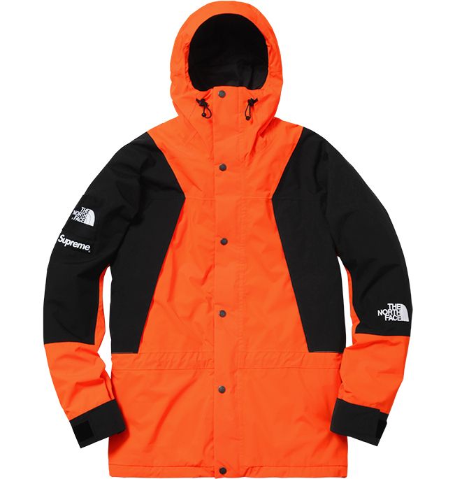 コラボ☆Supreme x The North Face Mountain Light Jacket 16AW