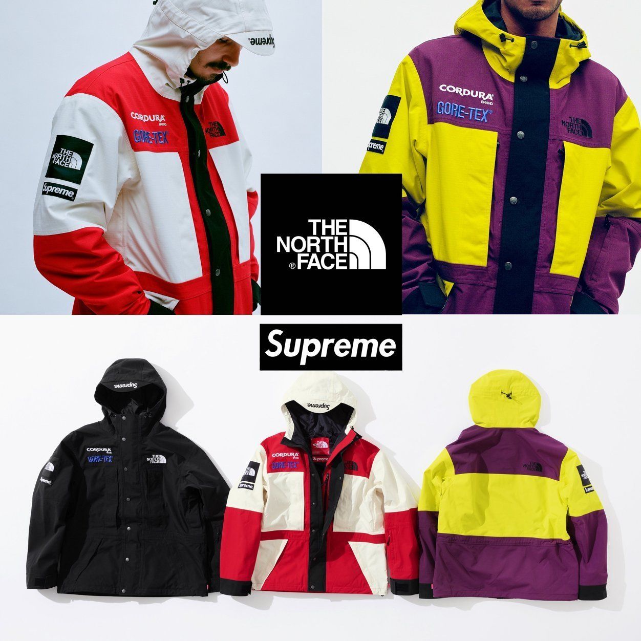 FW18 2nd Supreme × The North Face Expedition Jacket (Supreme