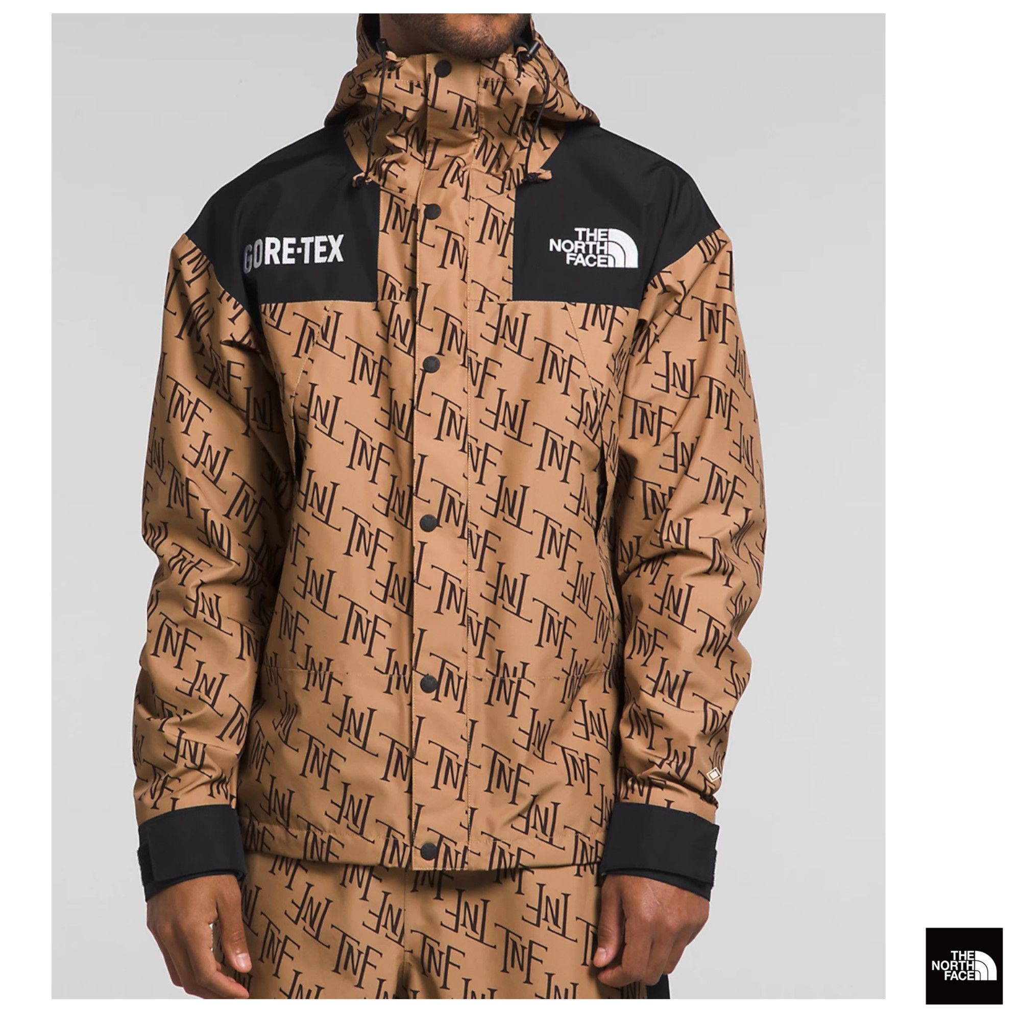 The North Face] ゴアテックス マウンテンジャケット 4色展開 (THE