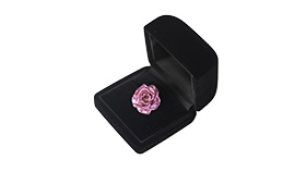 AMNIBUS-日常使いできるアニメグッズの通販サイト-