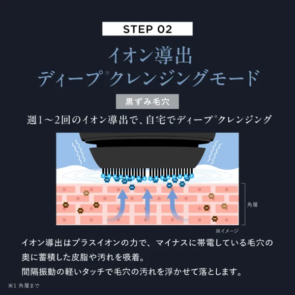 アンファースカルプD公式通販 | 予防医学のアンファーストア