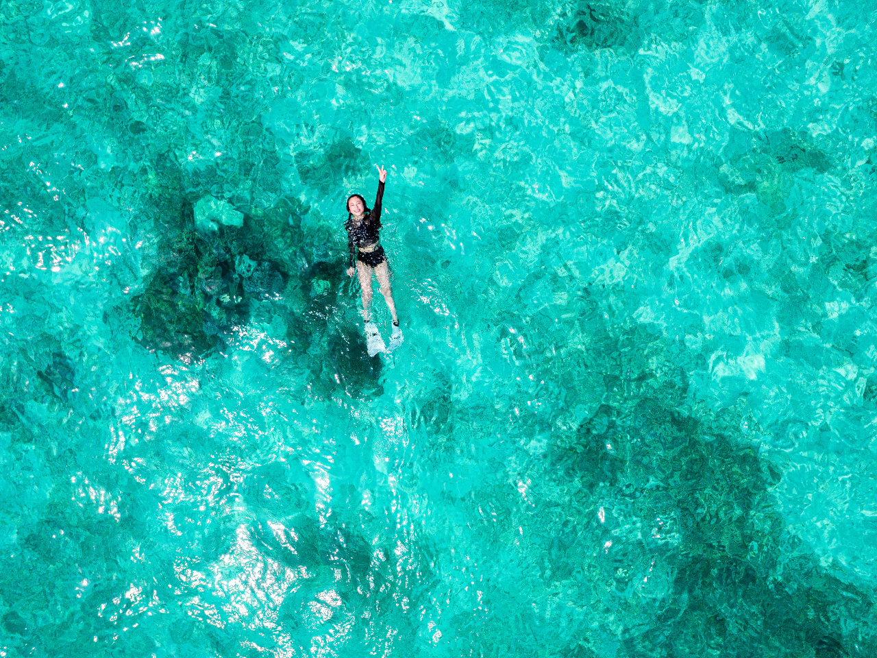少人数制】八重干瀬シュノーケリングボートツアー【水中撮影・ドローン