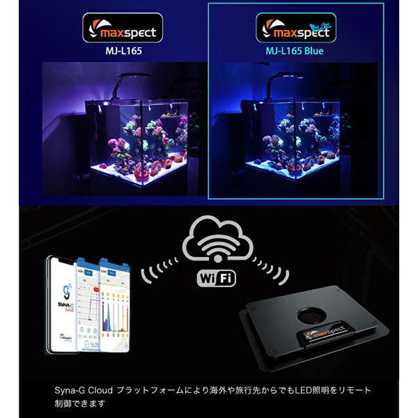 マックススペクト maxspect MJーL165（ブルー