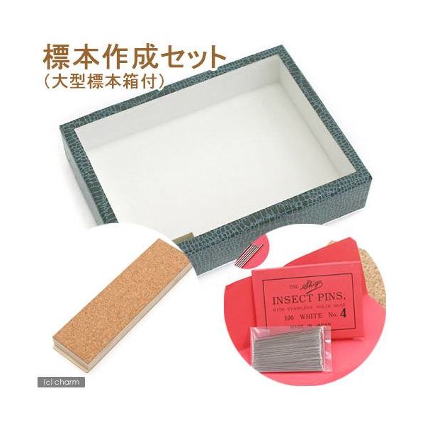 志賀昆虫普及社 標本作成セット(大型標本箱付き) 昆虫 標本用品 標本