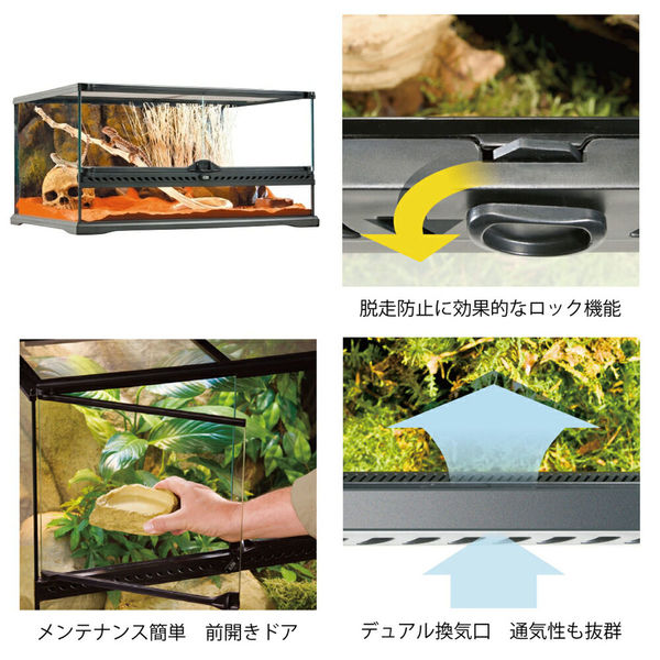 ジェックス GEX エキゾテラ グラステラリウム 6030 179482 1個（直送品