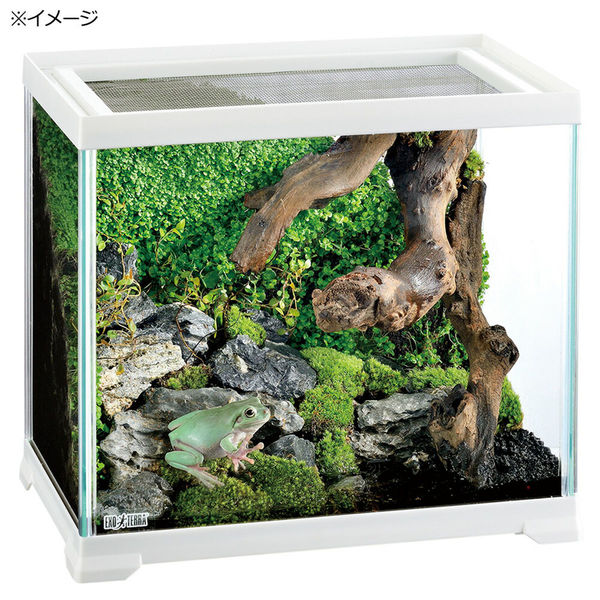 ジェックス GEX レプテリア ホワイト 300HIGH 225778 1個