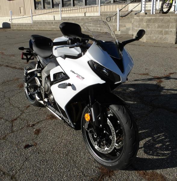 2025 Triumph Daytona 660 Snowdonia White/Sapphire Black | Empire Cycle