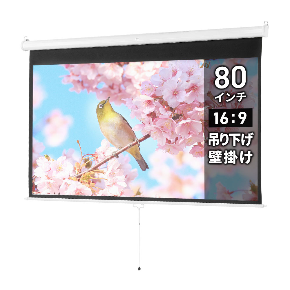 プロジェクタースクリーン （80インチ・ワイド・吊り下げ式・壁掛け