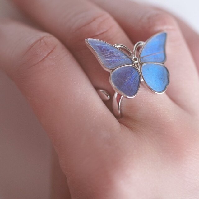モルフォ蝶のSilverリング | iichi 日々の暮らしを心地よくする