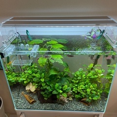 アクアスカイの中古が安い！激安で譲ります・無料であげます｜ジモティー